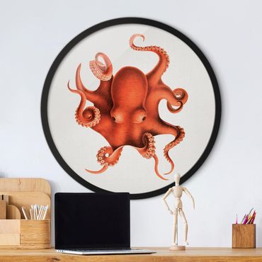 Tableau rond encadré - Vintage Illustration Red Octopus