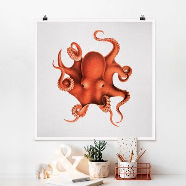 Poster reproduction - Vintage Illustration Red Octopus