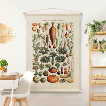 Tenture murale - Vintage Teaching Illustration Vegetables