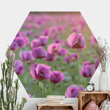 Papier peint hexagonal autocollant avec dessins - Purple Poppy Flower Meadow In Spring