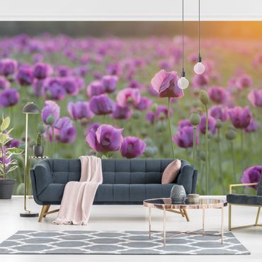 Papier peint - Purple Poppy Flower Meadow In Spring