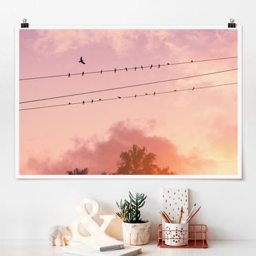 Poster reproduction - Birds On Powerlines - 3:2