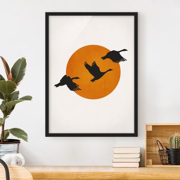 Poster encadré - Birds In Front Of Red Sun