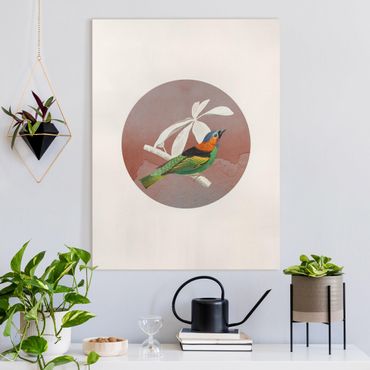 Tableau sur toile - Bird Collage In A Circle ll