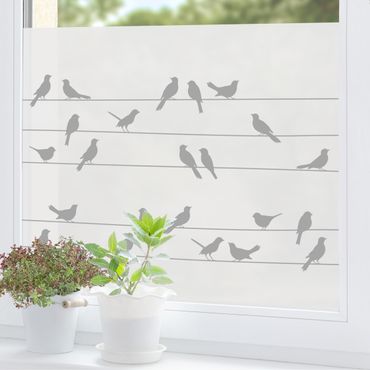 Film pour fenêtres - Flock Of Birds