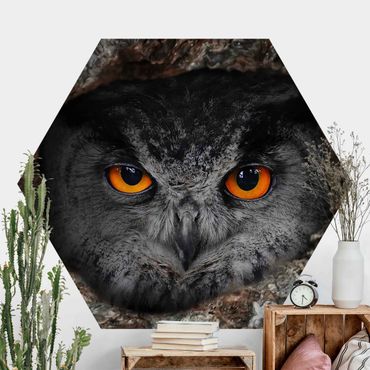 Papier peint hexagonal autocollant avec dessins - Watching Owl