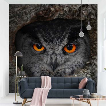 Papier peint - Watching Owl
