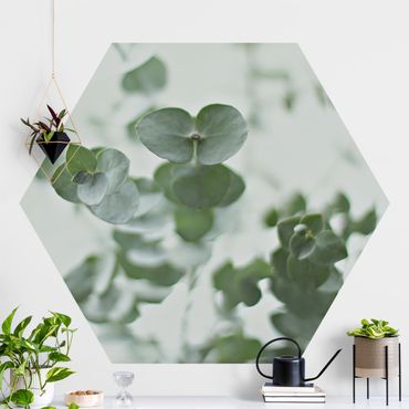Papier peint hexagonal autocollant avec dessins - Growing Eucalyptus