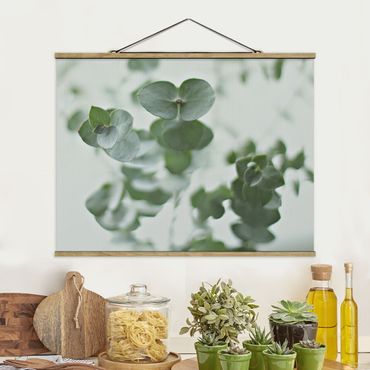 Tableau en tissu avec porte-affiche - Growing Eucalyptus - Format paysage 4:3