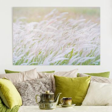 Tableau sur toile - Soft Grasses