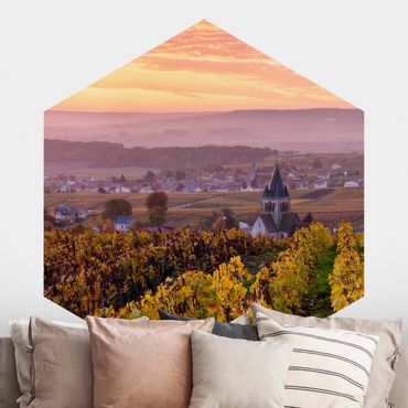 Papier peint hexagonal autocollant avec dessins - Wine Plantations At Sunset