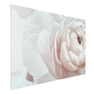 Impression sur forex - White Flower In An Ocean Of Flowers - Format paysage 3:2