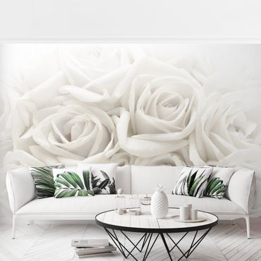 Papier peint - White Roses