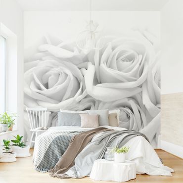 Papier peint - White Roses Black And White