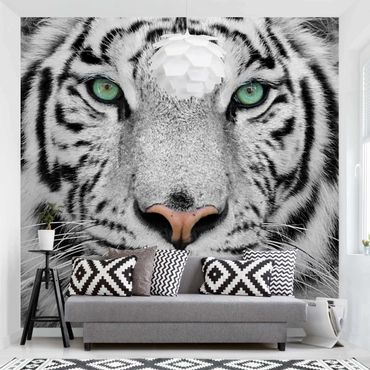 Papier peint - White Tiger