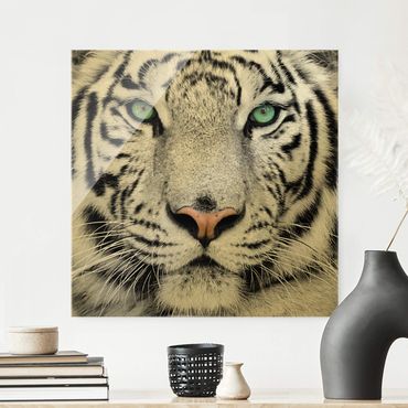 Tableau en verre - White Tiger