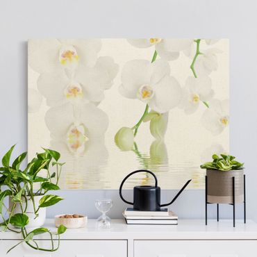 Tableau sur toile naturel - Spa Orchid - White Orchid - Format paysage 4:3
