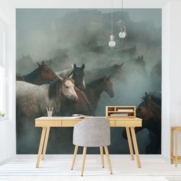 Papier peint - Wild Horses