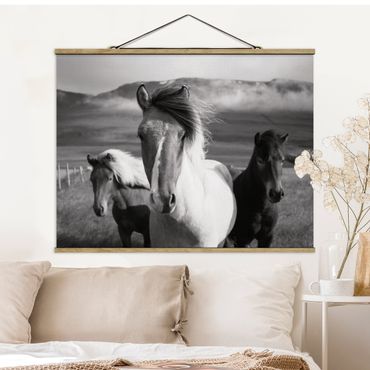 Tableau en tissu avec porte-affiche - Wild Horses Black And White - Format paysage 4:3