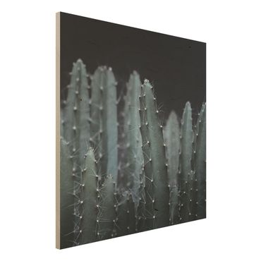 Tableau en bois - Desert Cactus At Night