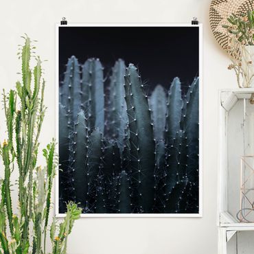Poster - Desert Cactus At Night