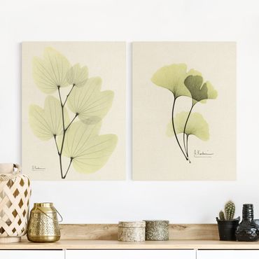 Impression sur toile - X-Ray - Orchid Tree Leaves & Ginkgo