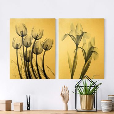 Impression sur toile - X-Ray - Tulips & Iris