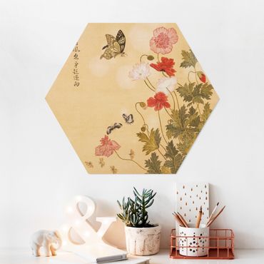 Hexagone en forex - Yuanyu Ma - Poppy Flower And Butterfly