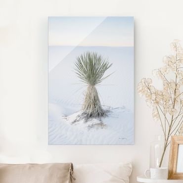 Tableau en verre - Yucca palm in white sand