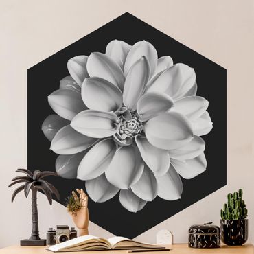 Papier peint hexagonal autocollant avec dessins - Delicate Dahlia In Black And White