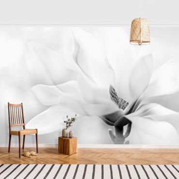 Papier peint - Delicate Magnolia Flowers Black and White
