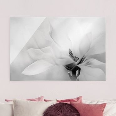 Tableau en verre - Delicate Magnolia Flowers Black and White - Format paysage