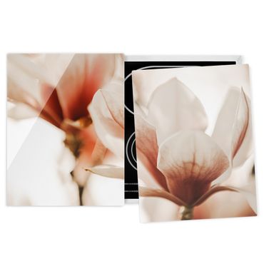 Cache plaques de cuisson - Delicate Magnolia Flowers In An Interplay Of Light And Shadows