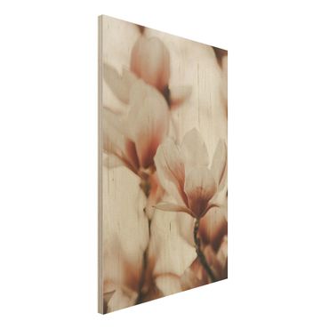 Tableau en bois - Delicate Magnolia Flowers In An Interplay Of Light And Shadows