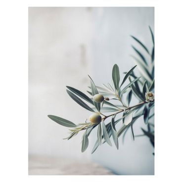 Impression sur toile - Branche d'olivier délicatement fleurie - Format portrait 3:4