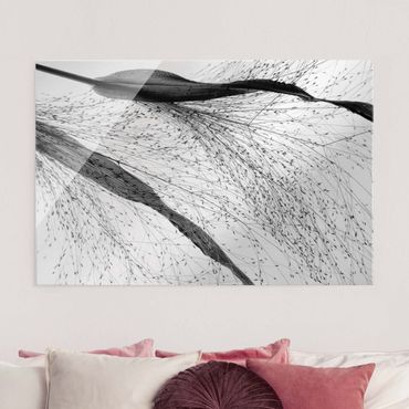 Tableau en verre - Delicate Reed With Small Buds Black And White - Format paysage