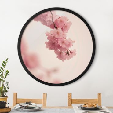 Tableau rond encadré - Pale Pink Spring Flower With Bokeh