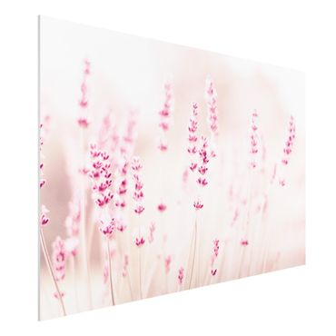Impression sur forex - Pale Pink Lavender - Format paysage 3:2