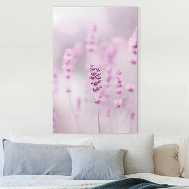 Tableau sur toile - Pale Purple Lavender