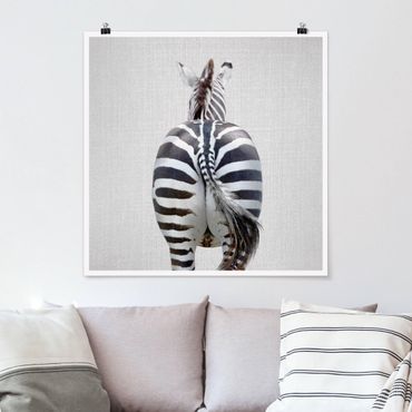 Poster reproduction - Zebra From Behind