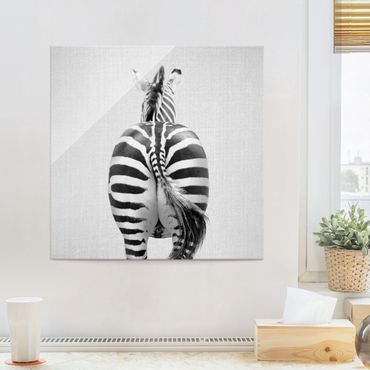 Tableau en verre - Zebra From Behind Black And White