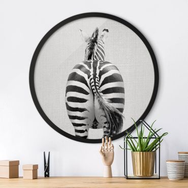 Tableau rond encadré - Zebra From Behind Black And White