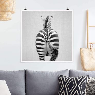 Poster reproduction - Zebra From Behind Black And White