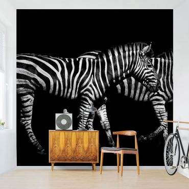 Papier peint - Zebra In The Dark
