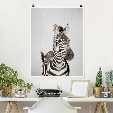 Poster reproduction - Zebra Zilla