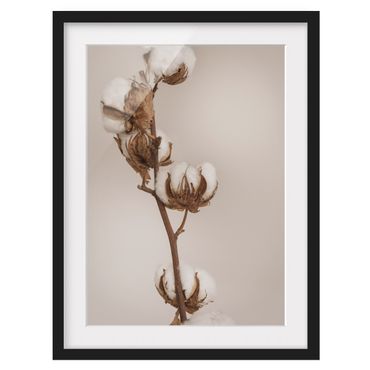 Framed poster - Fragile Cotton Twig
