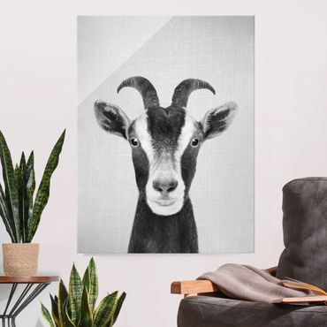 Tableau en verre - Goat Zora Black And White