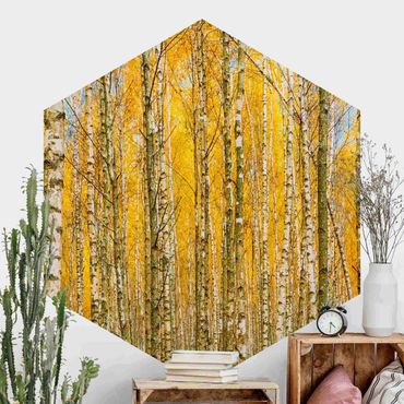 Papier peint panoramique hexagonal autocollant - Between Yellow Birch Trees