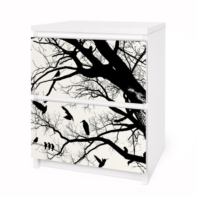 Films adhésifs en noir et blanc Vieil arbre dans le ciel