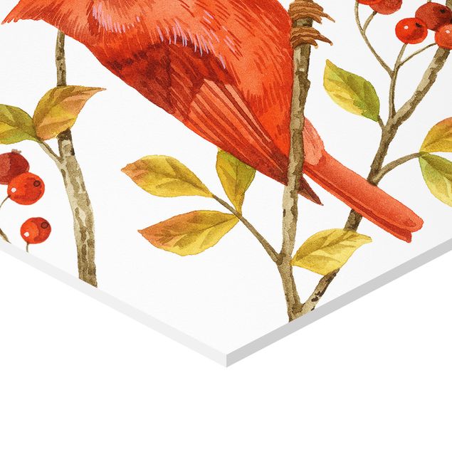 Hexagone en forex - Birds And Berries - Northern Cardinal